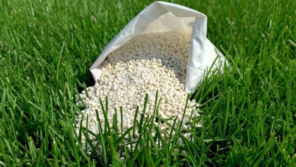 Fertilizer
